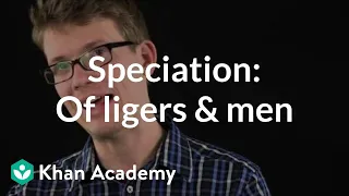 Speciation: Of ligers & men | Crash Course ecology | Khan Academy
