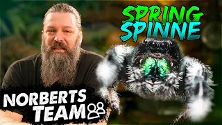 SPRINGSPINNEN | NORBERTS TEAM | Zoo Zajac