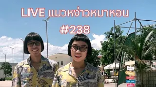 แมวหง่าวหมาหอน EP : 238 (LIVE) l แมวเศษเล็บ