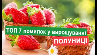 🍓ТОП 7 помилок у Вирощуванні Полуниці. Рекомендації від Кліома Сервіс