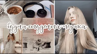 первые дни на 1 курсе медицинского университета // +1 сентября *study vlog*