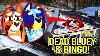 IF YOU SEE DEAD BLUEY & BINGO IN REAL LIFE, RUN!! (BLUEY MOVIE)