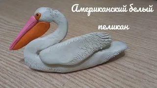 АМЕРИКАНСКИЙ БЕЛЫЙ ПЕЛИКАН! Лепим американского белого пеликана.