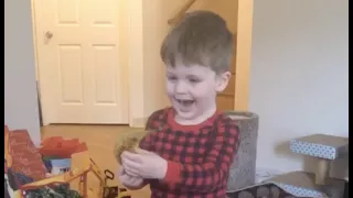 Giving my 3.5 year old a banana for a Christmas present - adorable reaction!