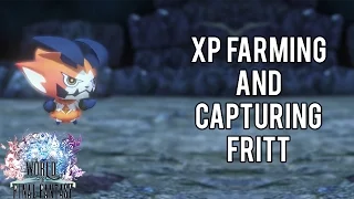 XP Farming and How To Capture Fritt | World of Final Fantasy
