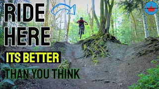 Delta Watershed Mountain Biking// It's Better Than You Think