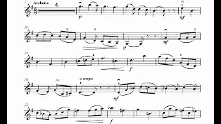 Oscar Rieding Violin Concerto in B minor op. 35 - 2. Andante - Orchestral Accompaniment