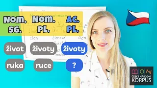 📚 Frequent Czech Nouns & Their Plurals