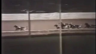 1981 Yonkers Raceway ROMAN LAD Carmine Abbatiello