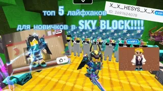 👏ТОП 5 ЛАЙФХАКОВ ДЛЯ НУБОВ В SKY BLOCK👏