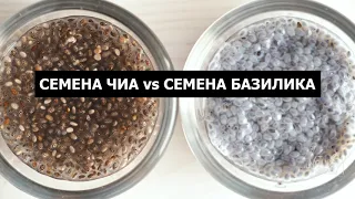 Семена базилика и чиа: сходства и различия