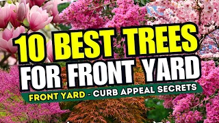 🌳😍 Top 10 BEST Trees for ANY Front Yard Garden Style - CURB APPEAL SECRETS 🚀🌲