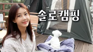 울창한 소나무 숲에서 1박2일 힐링 캠핑 / 조개랑 연어로 요리하기