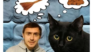 Котики. Funny Cats. Свежие приколы