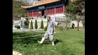 Health Qigong - Shaolin Bodhidharma Yi Jin Jing (少林达摩易筋经) Full Tutorial with English subtitles