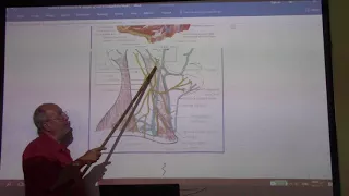 Anatomy of head & neck 44 ( Sternomastoid & posterior triangle , part 1 ) , by Dr. Wahdan