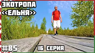 🇧🇾 Экотропа Ельня ландшафтный заказник. Болото Беларуси 2021