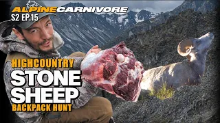 DIY STONE SHEEP HUNT | (21 KM) LONG PACK OUT | NORTHERN BC