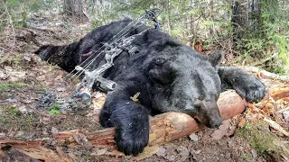 New Brunswick black bear hunt   Kevin Bourgoin   May 20, 2020