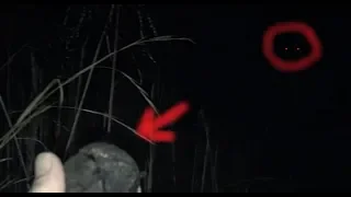 Bigfoot Sasquatch Attacks Under Cover Of Darkness