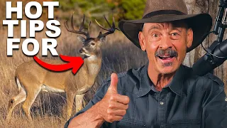 319: Deer Hunting Tips For Beginners