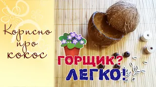 DIY : Горщик із кокоса