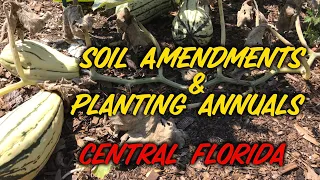 Planting Annuals & Soil Amendments | Central Florida Abundance