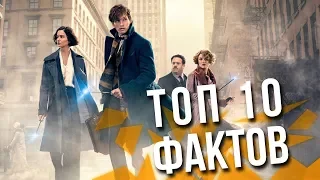 Интересные Факты про Фантастические Твари и Где Они Обитают