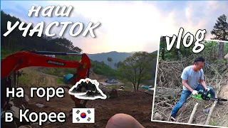 Как изменился наш участок? KOREA VLOG