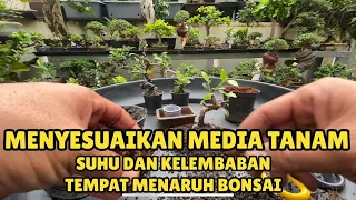 VIDEO 79 || MEDIA TANAM BONSAI MINI UNTUK TEMPAT YANG TIDAK TERLALU FULL MATAHARI