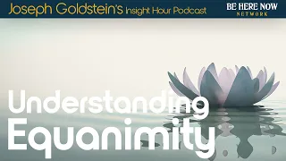 Understanding Equanimity with Joseph Goldstein – Insight Hour Podcast Ep. 177