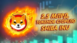 SHIBA INU: РОСТА +20%/ ОГРОМНЫЕ СЖИГАНИЯ ТОКЕНОВ!/ СОЗДАТЕЛИ ШИБ РАЗРАБАТЫВАЮТ СИСТЕМУ ОЖОГОВ!