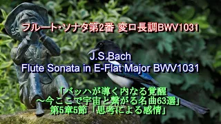 フルート・ソナタ第2番 変ロ長調 BWV1031：バッハ　J.S.Bach: Flute Sonata in E-Flat Major BWV 1031