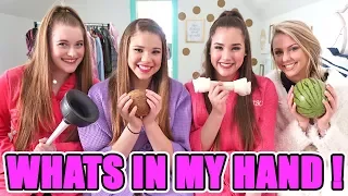 What's In My Hand Challenge! (Haschak Sisters & Friends!)