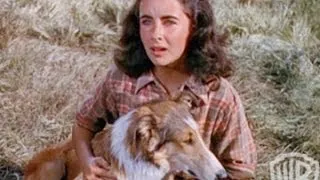 Courage of Lassie - Trailer 1