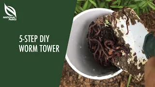Build A Worm Tower In 5 Steps
