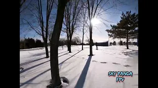 fpv freestyle