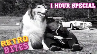 Lassie | 1 Hour Special | Lassie English Full Episodes  🐕