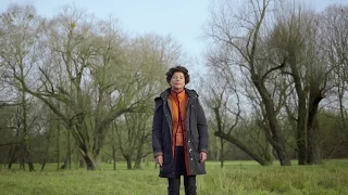 Netzwerk Medienethik "Prof. Dr. Petra Grimm" - Trailer