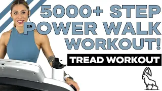 5000+ Steps! POWER STEP WALK WORKOUT