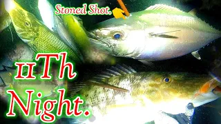 11TH NIGHT SPEARFISHING!! BIG DOGTOOTH TUNA !! || Gabby Ramal