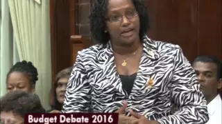 Budget Debate 2016 Hon. Annette Ferguson