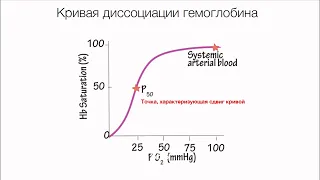 Ярошецкий А. И. Дыхательная недостаточность. Кислотно-основное состояние и газы крови.