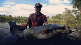 Sortie multicarna entre abonnés ! Les poissons sont là !