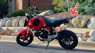 You NEED these Mods for your Honda Grom!