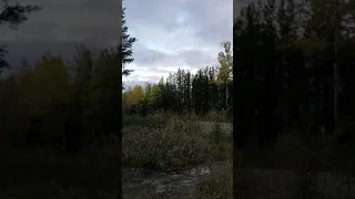 strange unknown noise caught on video