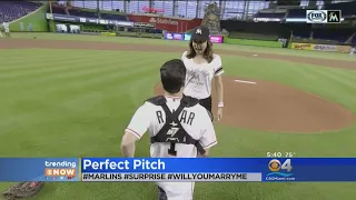 Trending: Marriage Proposal At Marlins Park