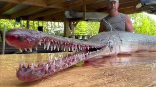 How to Catch, clean and cook gar to make fish tacos