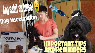 Magkano ba ang magpaturok ng alagang aso? | Preparation before and after vaccine!