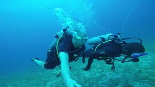 60 ft dive in Jamaica Part 1